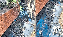 ಮಳೆ ಎಂದರೆ ಇವರಿಗೆ ಗಡಗಡ ನಡುಕ!