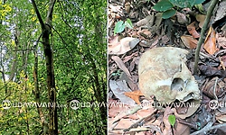 Subrahmanya: ಕಾಡಲ್ಲಿ ಅಸ್ಥಿಪಂಜರ ಪತ್ತೆ; ಕಾಣೆಯಾದ ವ್ಯಕ್ತಿಯದ್ದೆಂದು ಶಂಕೆ