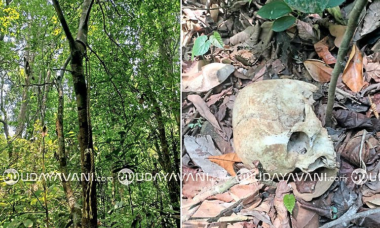 Subrahmanya: ಕಾಡಲ್ಲಿ ಅಸ್ಥಿಪಂಜರ ಪತ್ತೆ; ಕಾಣೆಯಾದ ವ್ಯಕ್ತಿಯದ್ದೆಂದು ಶಂಕೆ