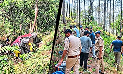 ಭೀಕರ ಅಪಘಾತ: 100 ಅಡಿ ಆಳದ ಕಂದಕಕ್ಕೆ ಕಾರು ಉರುಳಿ ಒಂದೇ ಕುಟುಂಬದ ನಾಲ್ವರು ಸೇರಿ 5 ಸಾವು