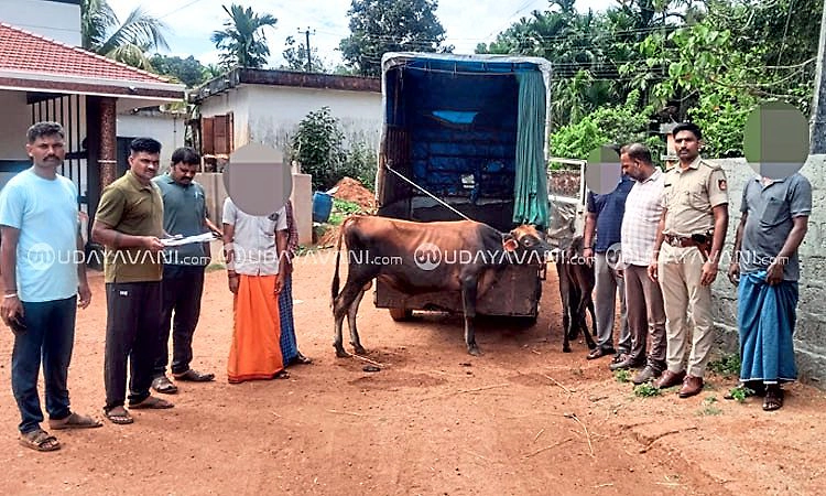 Vitla: ಅಕ್ರಮ ಗೋಸಾಗಾಟ ಪತ್ತೆ: ಚಾಲಕ ಬಂಧನ, ಮತ್ತೋರ್ವ ಆರೋಪಿ ಪರಾರಿ