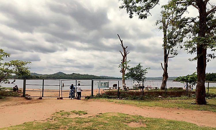 Shimoga: ದುಬಾರೆ ದುರಂತದ ಬಳಿಕ ಸಕ್ರೆಬೈಲು ಆನೆ ಬಿಡಾರಕ್ಕೆ ಪ್ರವಾಸಿಗರ ಪ್ರವೇಶ ನಿಷೇಧ