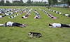 Thousands join International Yoga Day events worldwide