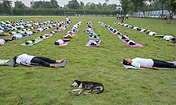 Thousands join International Yoga Day events worldwide
