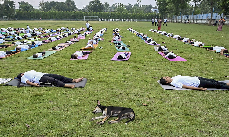 Thousands join International Yoga Day events worldwide