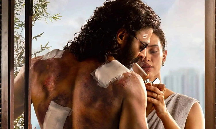 ಜೈಲಿಗೆ ಹೋಗಲಿದ್ದಾರೆ ಟಾಲಿವುಡ್‌ ಸ್ಟಾರ್‌ ಪ್ರಭಾಸ್.!‌ - ಕಾರಣವೇನು?