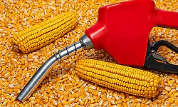 Centre plans wider use of ethanol beyond vehicles, eyes cooking fuel and aviation