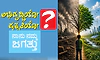Development or Nature: ಅಭಿವೃದ್ಧಿಯೋ ಪ್ರಕೃತಿಯೋ: ನಾನು ನಮ್ಮ ಜಗತ್ತು