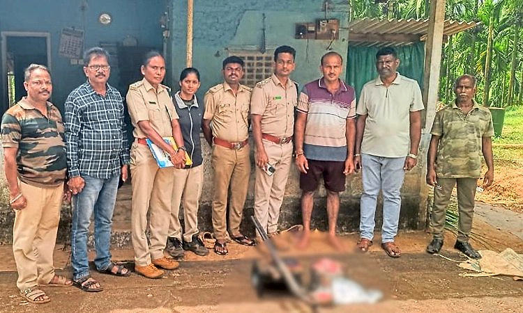 Belthangady: ಕಾಡುಹಂದಿ ಬೇಟೆ: ಓರ್ವ ಬಂಧನ