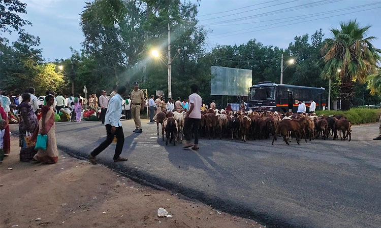 ಕೆರೆಗೆ ನೀರು ಬಿಡಿ, ಇಲ್ಲವಾದರೆ ಡಿಸಿ ಕಚೇರಿಗೆ ಕುರಿ ಬಿಡುತ್ತೇವೆ : ರೈತರ ಪ್ರತಿಭಟನೆ