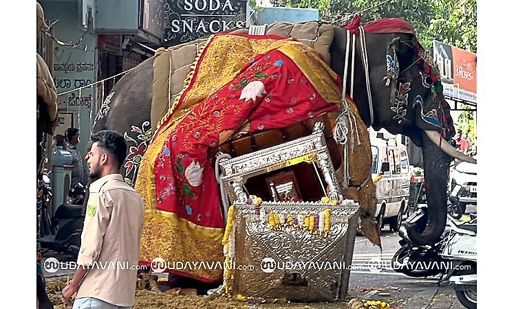 Shivamogga Dasara: Elephant runs amok during Jamboo Savari, silver howdah falls off