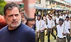 Public support does not grow on falsehoods: RSS leader on Rahul Gandhi's remarks against Sangh