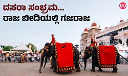 ದಸರಾ ಸಂಭ್ರಮ...ರಾಜ ಬೀದಿಯಲ್ಲಿ ಗಜರಾಜ