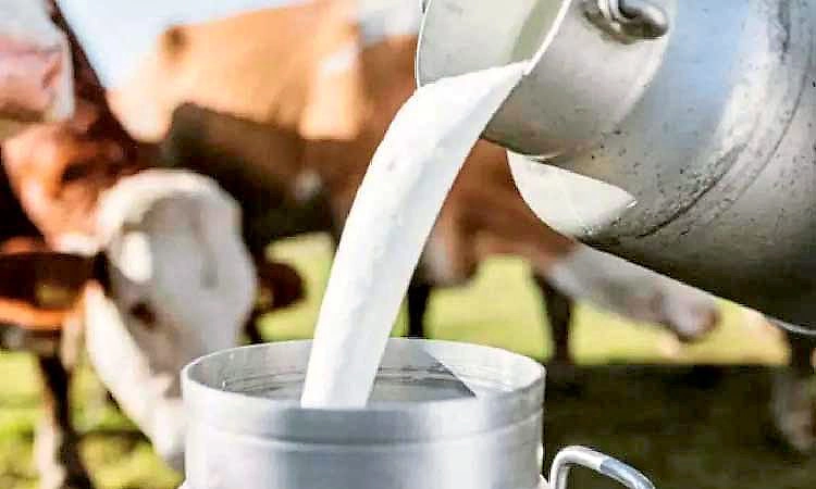 ಜಿಲ್ಲೆಗೊಂದು ಹಾಲು ಒಕ್ಕೂಟ ವ್ಯವಸ್ಥಿತ ನಿರ್ವಹಣೆಗಿರಲಿ ಆದ್ಯತೆ