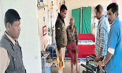 Kodagu: ಹುಲಿ, ಕಾಡಾನೆ ದಾಳಿ: ಹಸು,ವ್ಯಕ್ತಿಗೆ ಗಾಯ