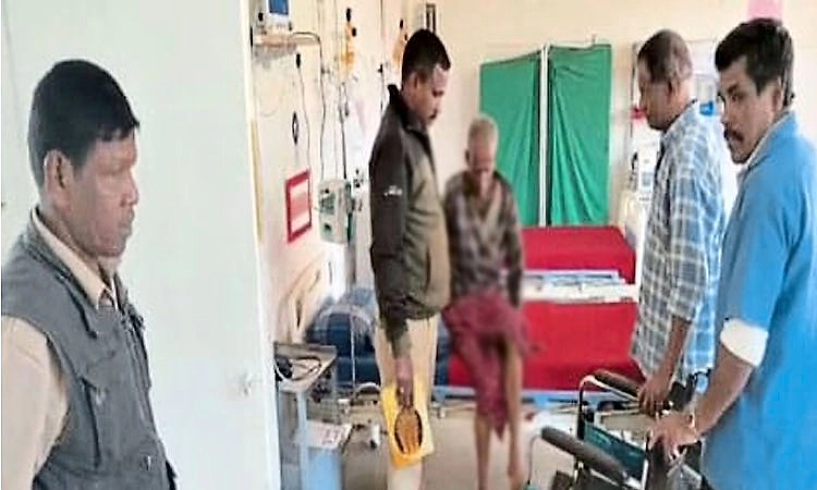 Kodagu: ಹುಲಿ, ಕಾಡಾನೆ ದಾಳಿ: ಹಸು,ವ್ಯಕ್ತಿಗೆ ಗಾಯ