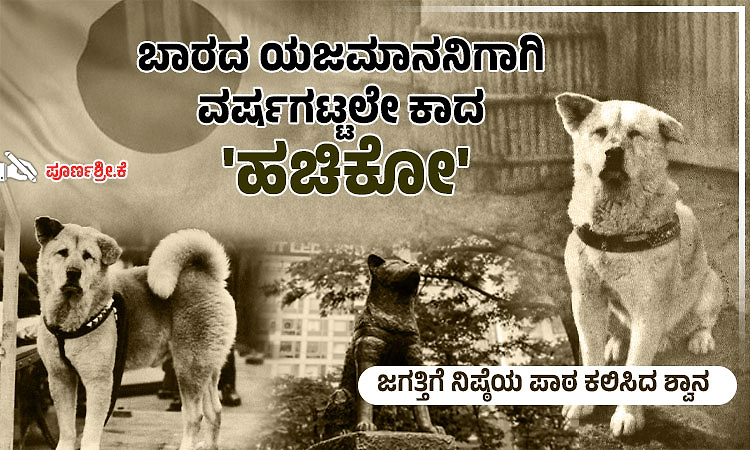 Hachiko: ಹತ್ತು ವರ್ಷಗಳ ಅಲೆದಾಟ- 'ಹಚಿಕೋ' ಎಂಬ ನಿಯತ್ತಿನ ಶ್ವಾನದ ಜನಾನುರಾಗಿ ಕಥೆ....!!