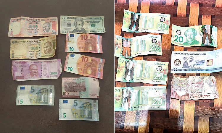 Belagavi: ಸವದತ್ತಿ ಶ್ರೀ ರೇಣುಕಾ ಯಲ್ಲಮ್ಮನ ಹುಂಡಿ: ದಾಖಲೆಯ 1.99 ಕೋಟಿ‌ ರೂ. ಸಂಗ್ರಹ