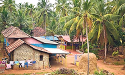 ಗ್ರಾಮೀಣ ಬದುಕಿನೊಂದಿಗೆ ಬೆಸೆದ ನಿಸರ್ಗದ ನಂಟು