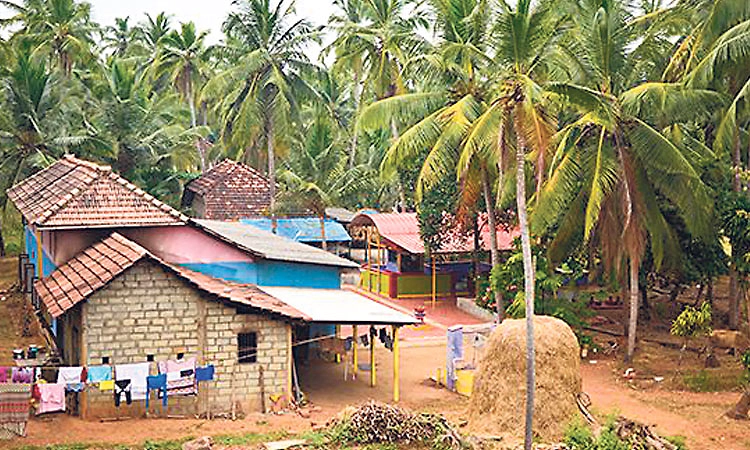 ಗ್ರಾಮೀಣ ಬದುಕಿನೊಂದಿಗೆ ಬೆಸೆದ ನಿಸರ್ಗದ ನಂಟು