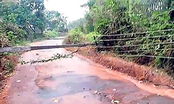 ಬೆಳ್ತಂಗಡಿ: ಗುಡುಗು-ಗಾಳಿ ಸಹಿತ ಬಿರುಸಿನ ಮಳೆ