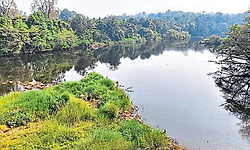 Kadaba: ಈಡೇರದ ಅಣೆಕಟ್ಟು ಬೇಡಿಕೆ