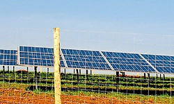 ಬೆಳ್ಳೂರು: 9 ಕಿ.ಮೀ ಸೌರ ಬೇಲಿ ಸ್ಥಾಪನೆ