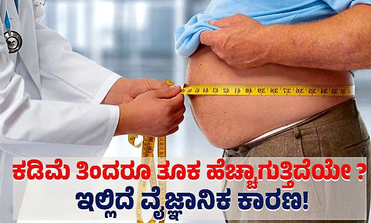 Weight Gain: ಕಡಿಮೆ ತಿಂದರೂ ತೂಕ ಹೆಚ್ಚಾಗುತ್ತಿದೆಯೇ ; ಇಲ್ಲಿದೆ ವೈಜ್ಞಾನಿಕ ಕಾರಣ!