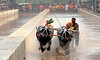 Kambala: 33ನೇ ವರ್ಷದ ವೇಣೂರು-ಪೆರ್ಮುಡ ಕಂಬಳ ಫಲಿತಾಂಶ