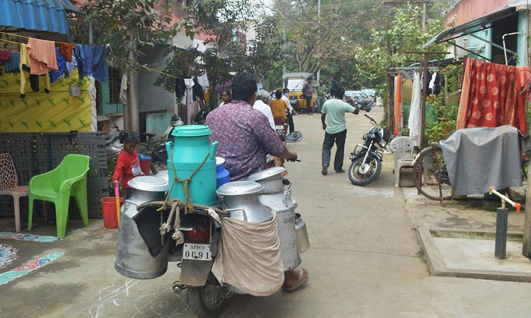 Andhra Pradesh: ಕಲಬೆರಕೆ ಹಾಲು ಸೇವನೆ ಪ್ರಕರಣ; ಮೃತರ ಸಂಖ್ಯೆ 16ಕ್ಕೆ ಏರಿಕೆ