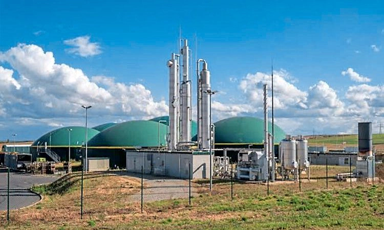 ಗುಜರಾತ್: ಶೀಘ್ರವೇ ಜೈವಿಕ ಸಿಎನ್‌ಜಿ ಬಳಕೆಗೆ 100 ಗ್ರಾಮಗಳ ಸಿದ್ಧತೆ   