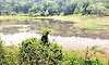 Belthangady: ಪೆರ್ನೇಲೆ ಕೆರೆ 300 ಮನೆಗಳಿಗೆ ಆಸರೆ