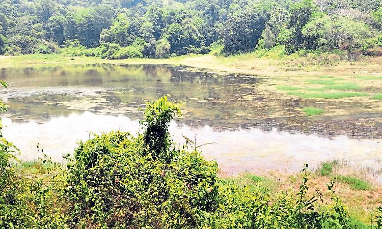 Belthangady: ಪೆರ್ನೇಲೆ ಕೆರೆ 300 ಮನೆಗಳಿಗೆ ಆಸರೆ