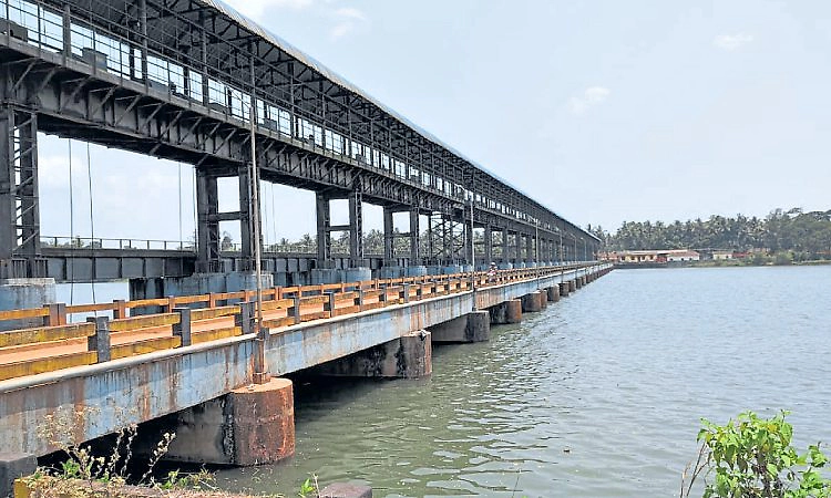 Gulvadi: ಇಲ್ಲಿ ನೀರೇ ಕೃಷಿಕರಿಗೆ ಶಾಪವಾಗಿದೆ!