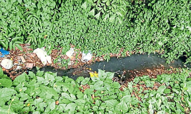 ಕೊಳಚೆ ಗುಂಡಿ: ಅಪಾಯದಲ್ಲಿ ಕೊರಂಟಿಬೆಟ್ಟು!