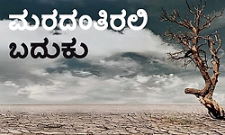 Life: ಮರದಂತಿರಲಿ ಬದುಕು