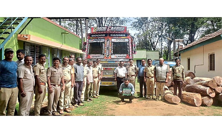 Hunsur: ಅಕ್ರಮವಾಗಿ ಸಾಗಿಸುತ್ತಿದ್ದ ಬೀಟೆ ದಿಮ್ಮಿ ವಶ, ಆರೋಪಿ ಬಂಧನ