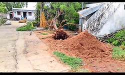 Yadagiri: ಧರೆಗುರುಳಿದ ಮರಗಳು, ಜಿಲ್ಲೆಯಾದ್ಯಂತ ಬಿರುಗಾಳಿ ಸಹಿತ ಮಳೆ