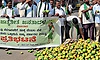 ಮಾವು ಬೆಂಬಲ ಬೆಲೆಗಾಗಿ ಶ್ರೀನಿವಾಸಪುರ ಬಂದ್‌