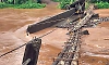 Local man rescues woman after she slips from makeshift arecanut bridge into stream in Kasaragod