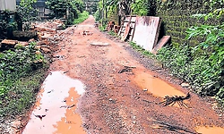 Mangaluru: ಹಚ್ಚ ಹಸುರ ವಾರ್ಡ್‌ಗೆ ಸ್ವಚ್ಛತೆ ಸವಾಲು!