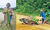ಬ್ಯಾಂಕ್‌ ಅಧಿಕಾರಿಯ ಕೃಷಿ ಪ್ರೇಮ ಹಡಿಲು ಭೂಮಿಯಲ್ಲಿ ಭತ್ತದ ಬೆಳೆ