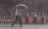 Monsoon: 14 ಜಿಲ್ಲೆಗಳಲ್ಲಿ ಮತ್ತೆ ಮುಂಗಾರು ಚುರುಕು