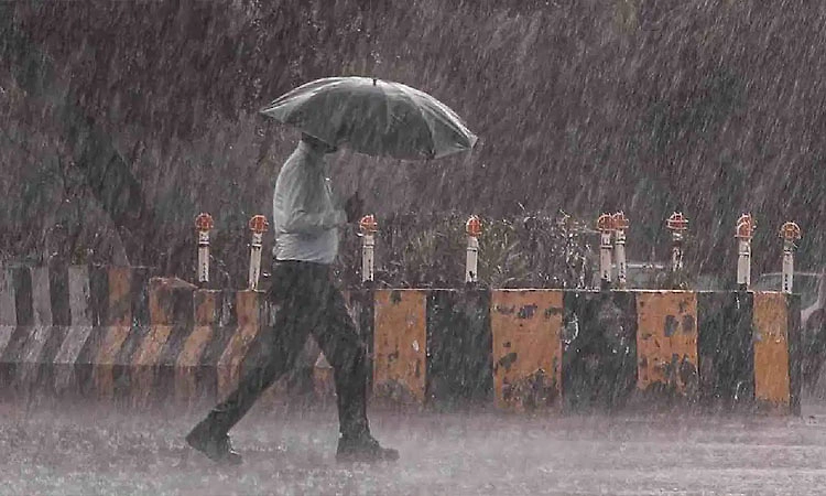 Monsoon: 14 ಜಿಲ್ಲೆಗಳಲ್ಲಿ ಮತ್ತೆ ಮುಂಗಾರು ಚುರುಕು