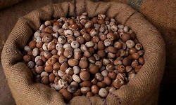 Sulya: ಮಳೆ ಕಣ್ಣಾಮುಚ್ಚಾಲೆ ನಡುವೆಯೂ ಅಡಿಕೆ ಧಾರಣೆ ಸ್ಥಿರ