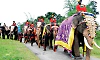 Mysuru Dasara: Over 32 sheds being built for elephants, mahouts and their families