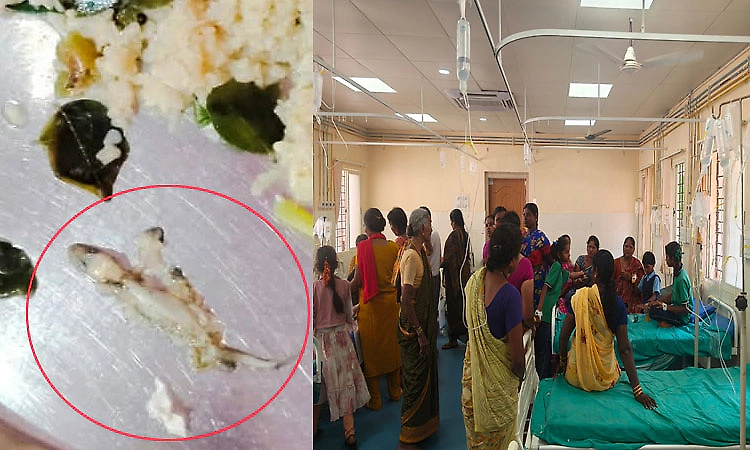 Lizard found in upma leaves over 80 students ill at government school