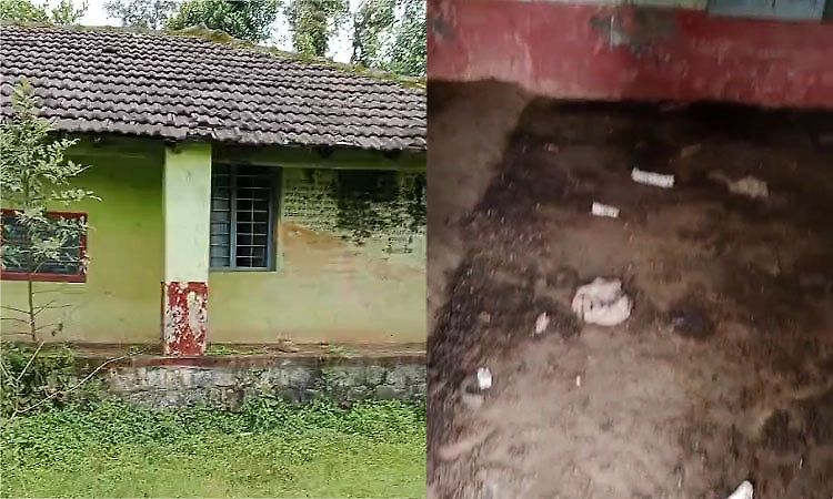 Mudigere: Neglected school building turns into sheep shed, villagers demand action