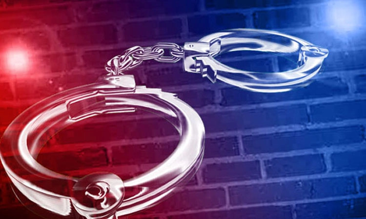 ಚಿಕ್ಕಮಗಳೂರು: ಬಿದಿರು ಅಕ್ರಮ ಸಾಗಾಟ: ಇಬ್ಬರ ಸೆರೆ