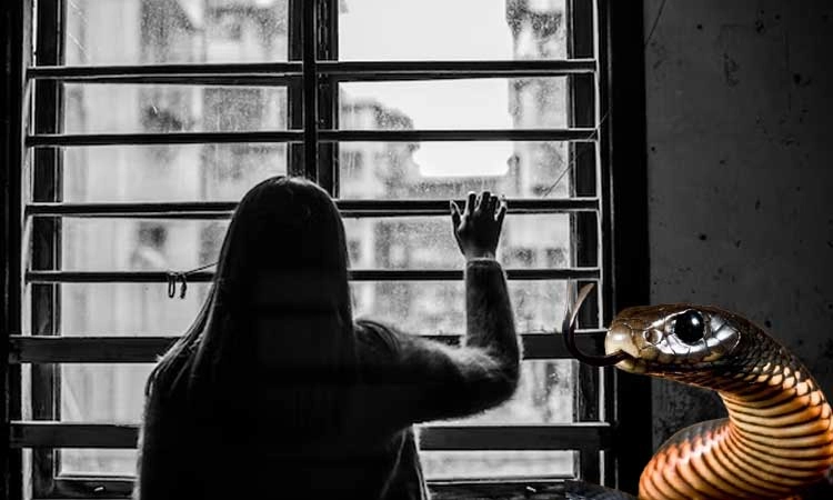 ನಿಲ್ಲದ ವರದಕ್ಷಿಣೆ ಕಿರುಕುಳ... ಸೊಸೆಯನ್ನು ಕೂಡಿ ಹಾಕಿ ಕೋಣೆಯೊಳಗೆ ಹಾವು ಬಿಟ್ಟ ಅತ್ತೆ ಮಾವ